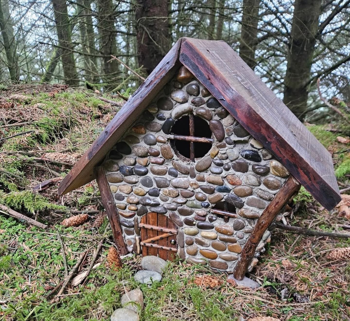 Fuglehus funnet på tur i skogen ved Alver